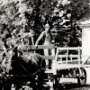 Agriculture 1850 to Present